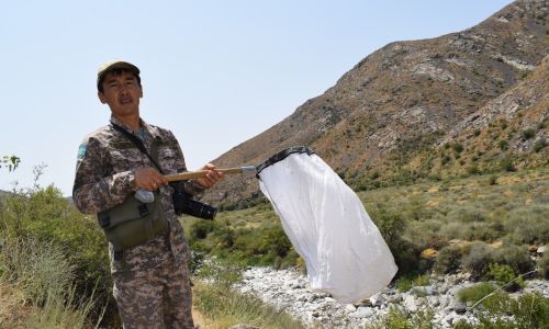 Очередная экспедиция