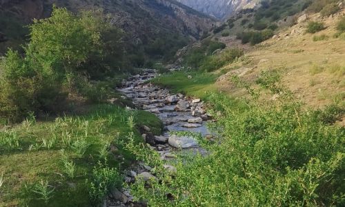 О текущем состоянии рек заповедника