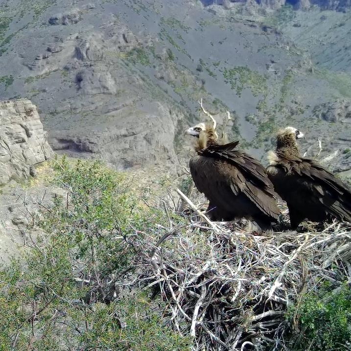 Қыздардың телефонынан үй фотолары